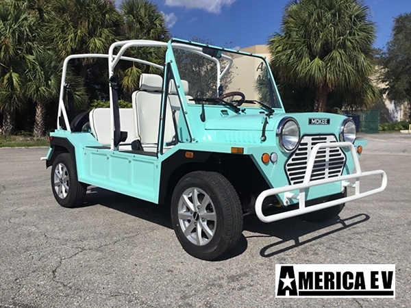 Mint Mokee 4 Passenger Golf Cart affordable golf cart rental, golf cart rent massachusetts